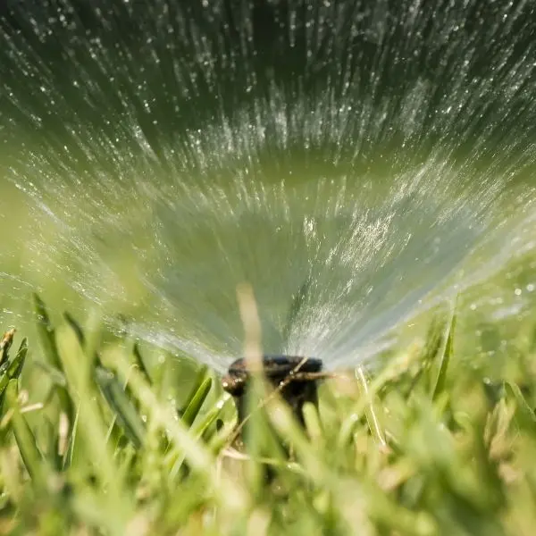 benefits-using-irrigation-system